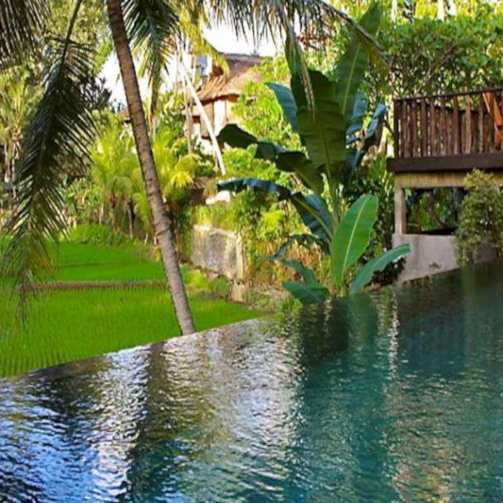 Radical Alignment Retreat Bali